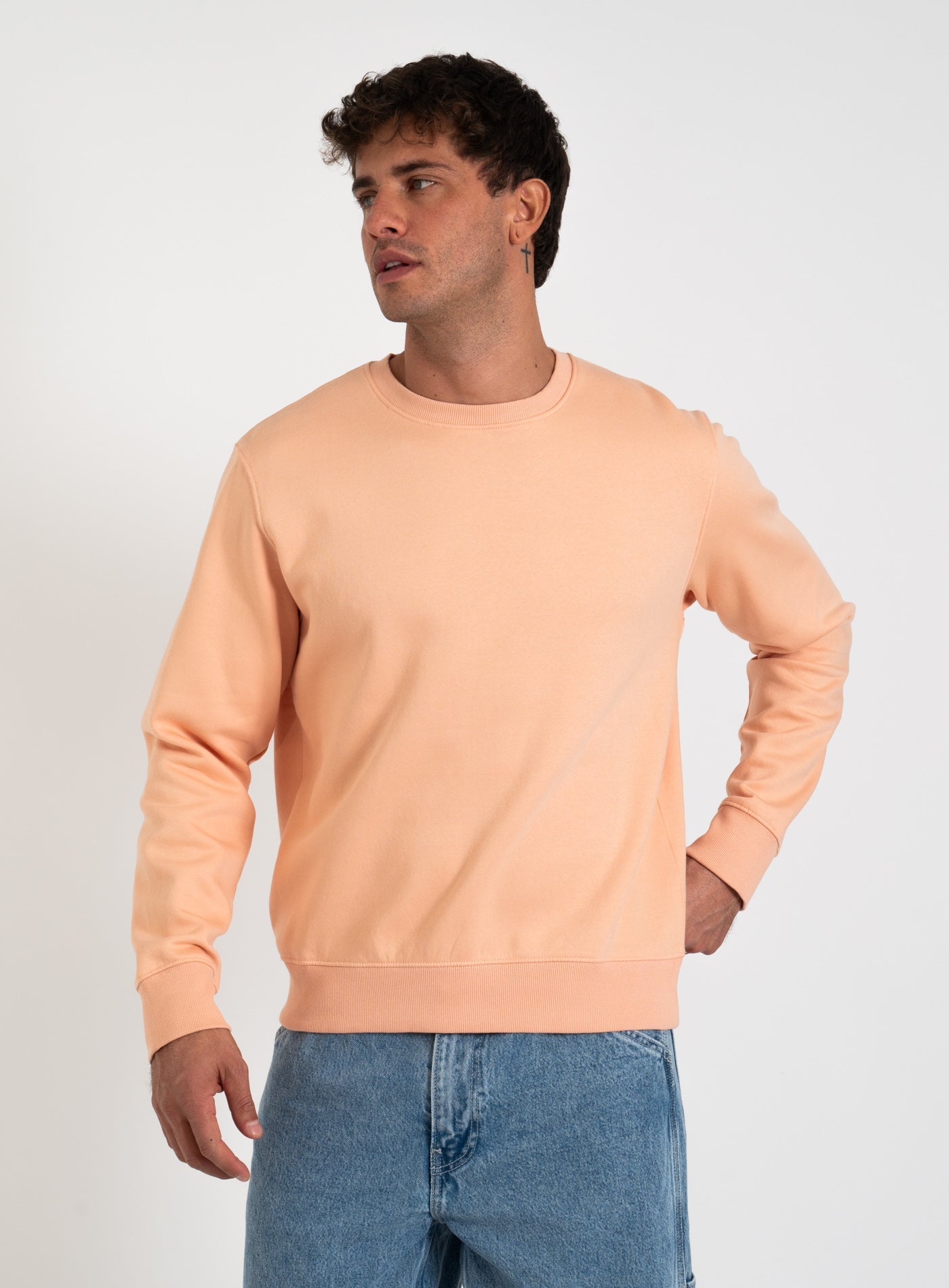 251-STAR BASIC CREW NECK 12208182