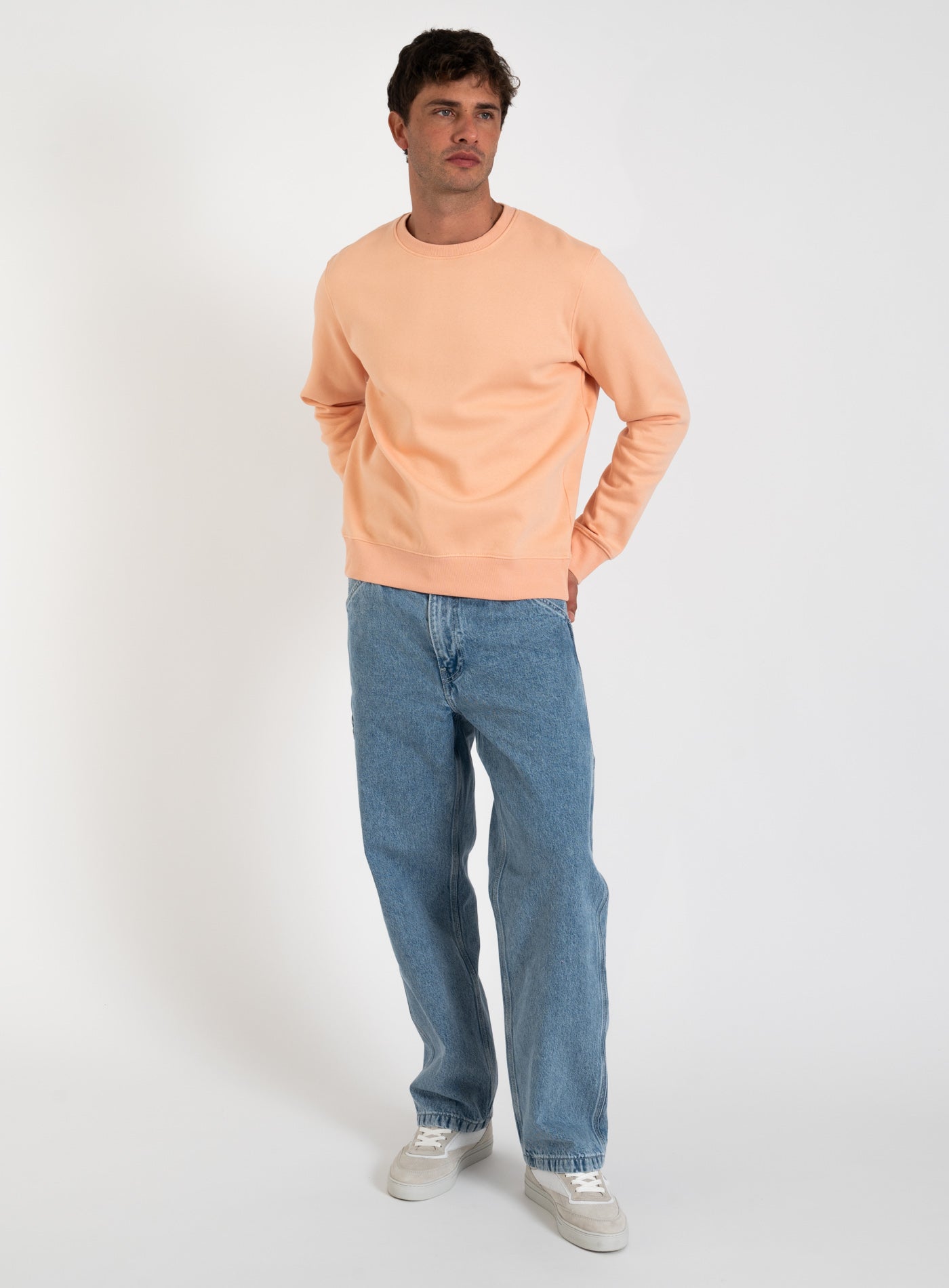 251-STAR BASIC CREW NECK 12208182