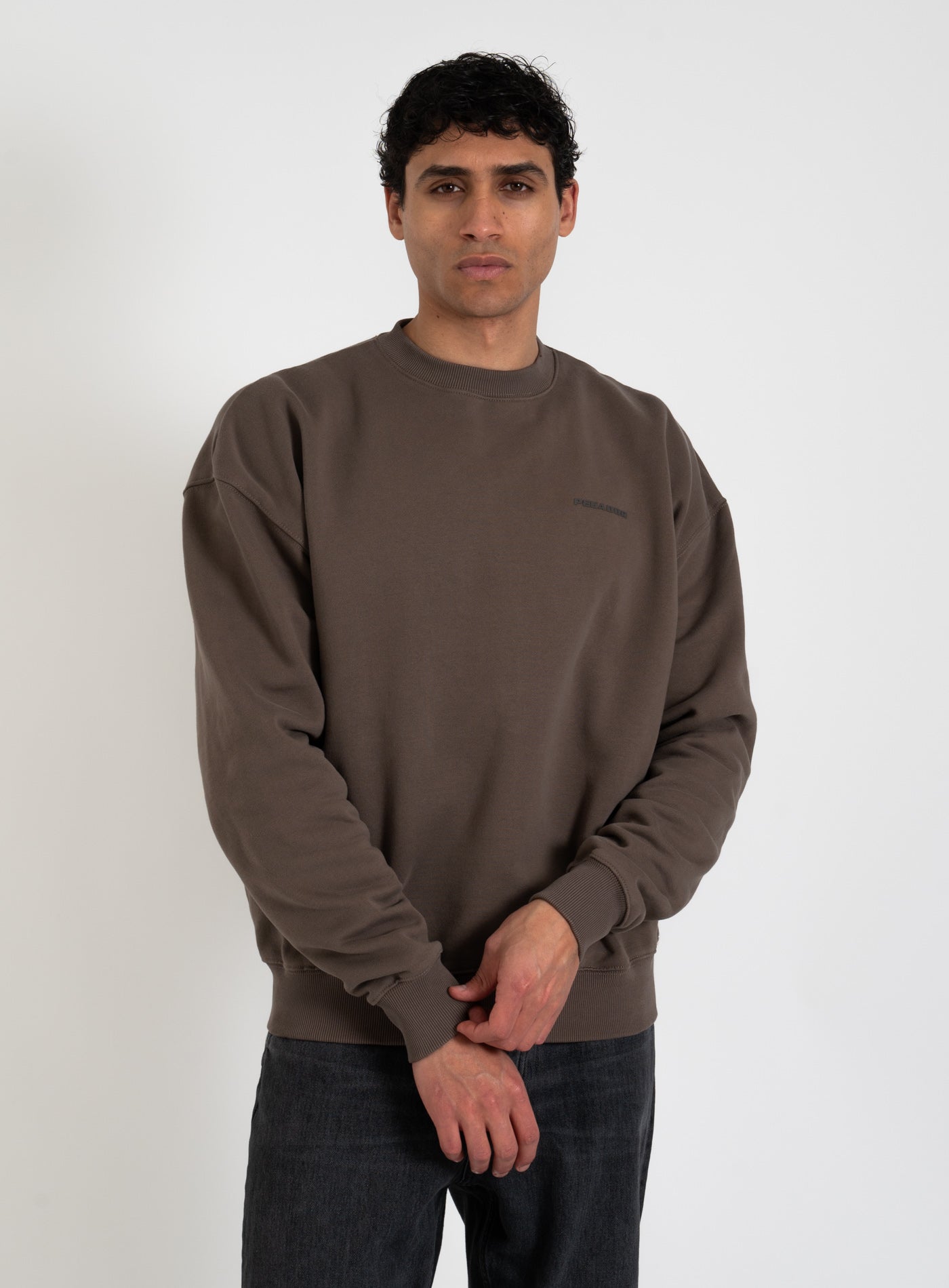 251-PGDR-1104 LOGO OS-SWEATER