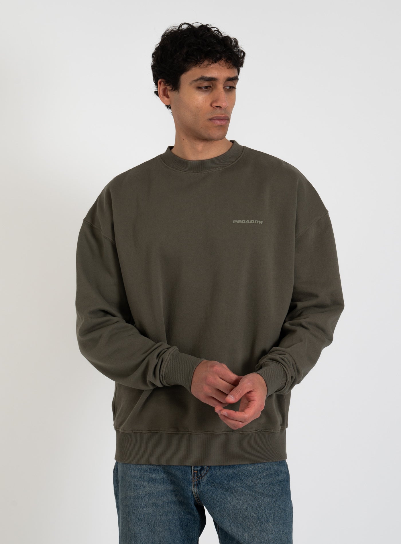 251-PGDR-1104 LOGO OS-SWEATER