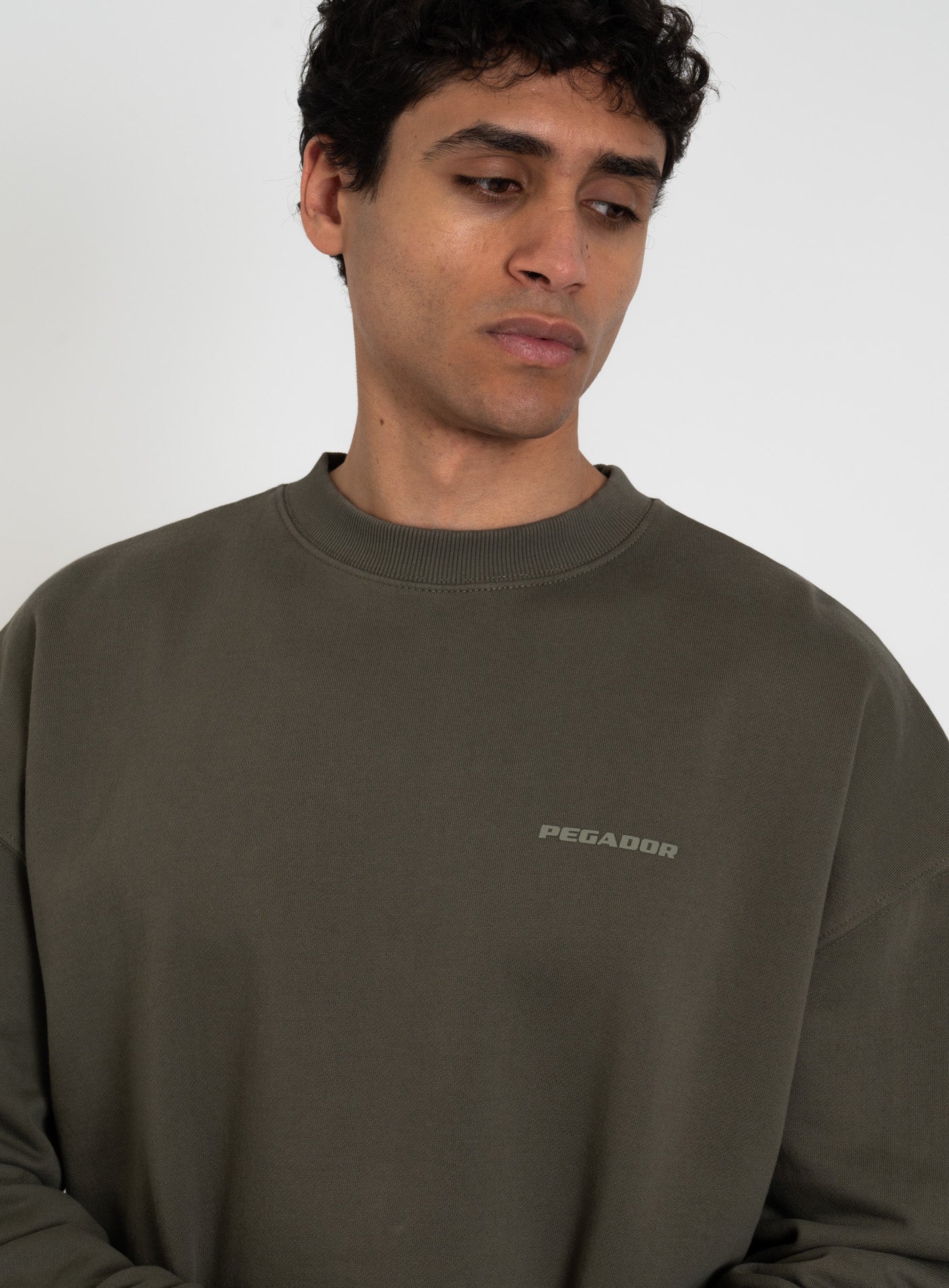 251-PGDR-1104 LOGO OS-SWEATER