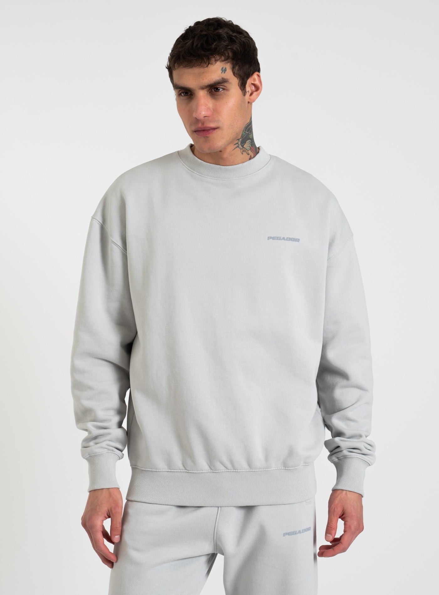 251-PGDR-1104 LOGO OS-SWEATER