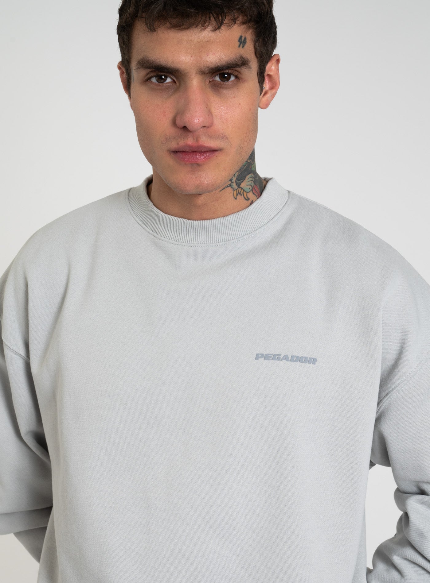 251-PGDR-1104 LOGO OS-SWEATER