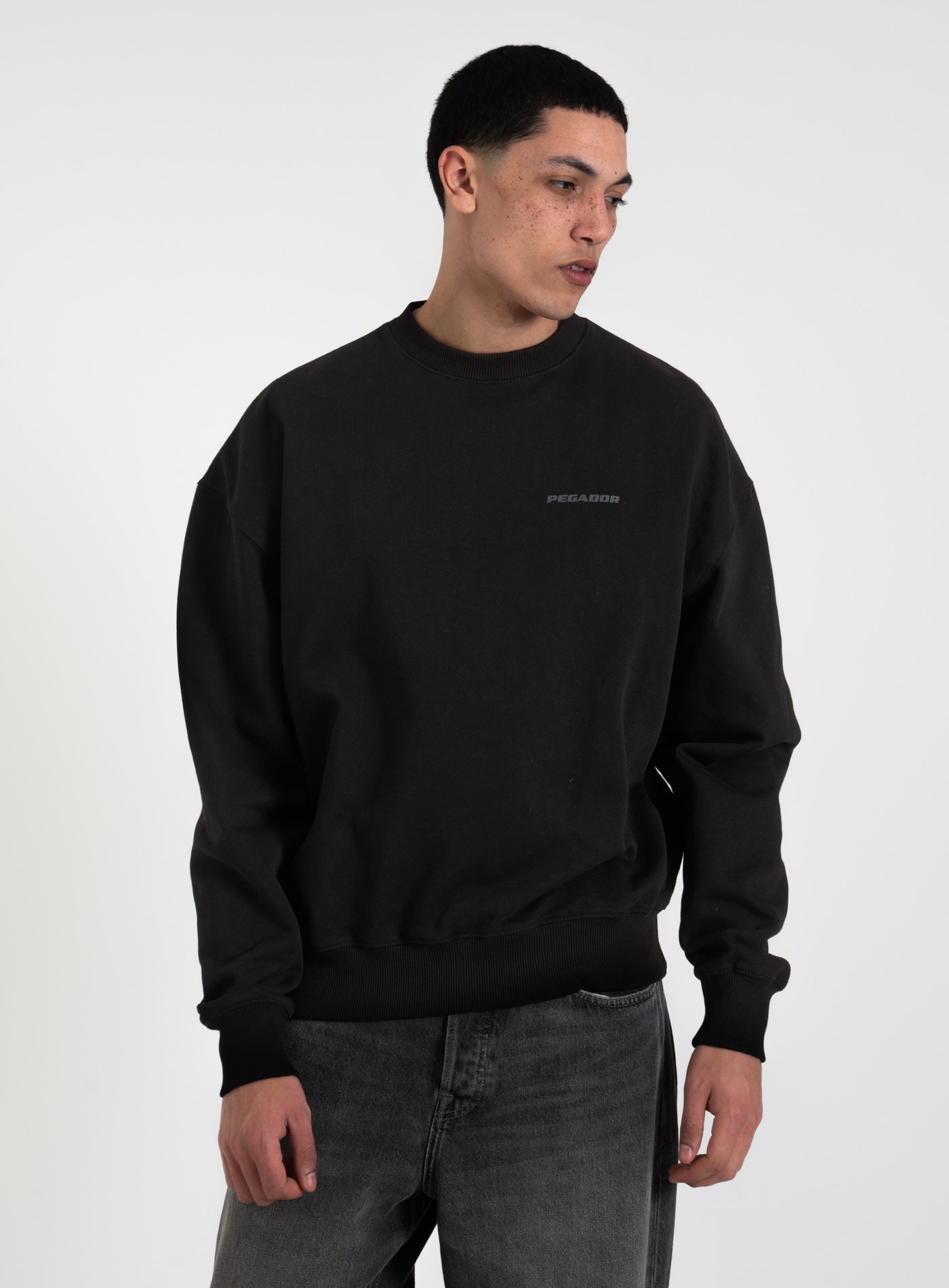 251-PGDR-1104 LOGO OS-SWEATER