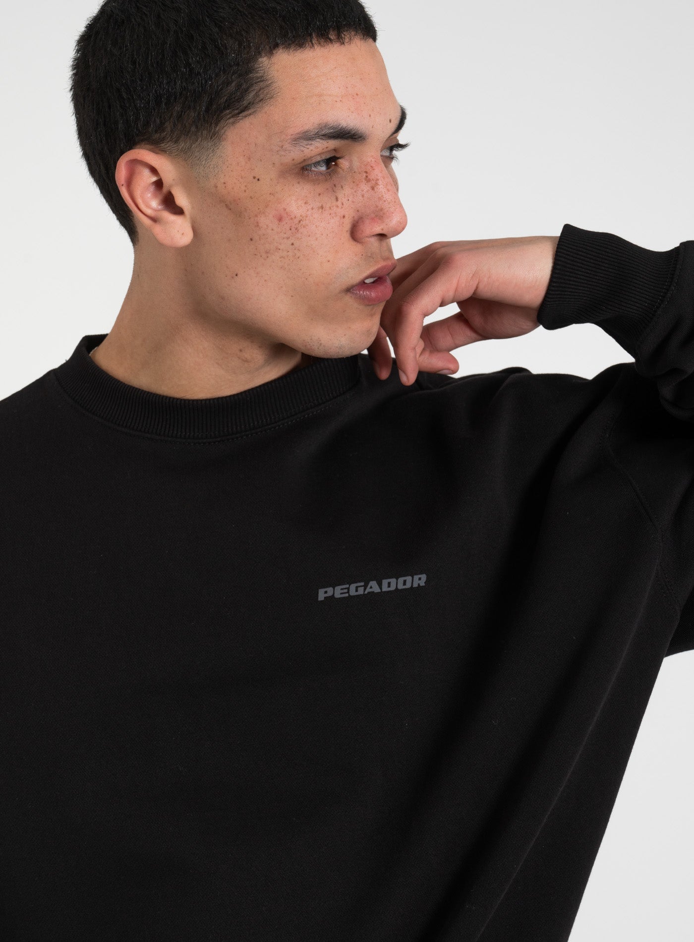 251-PGDR-1104 LOGO OS-SWEATER