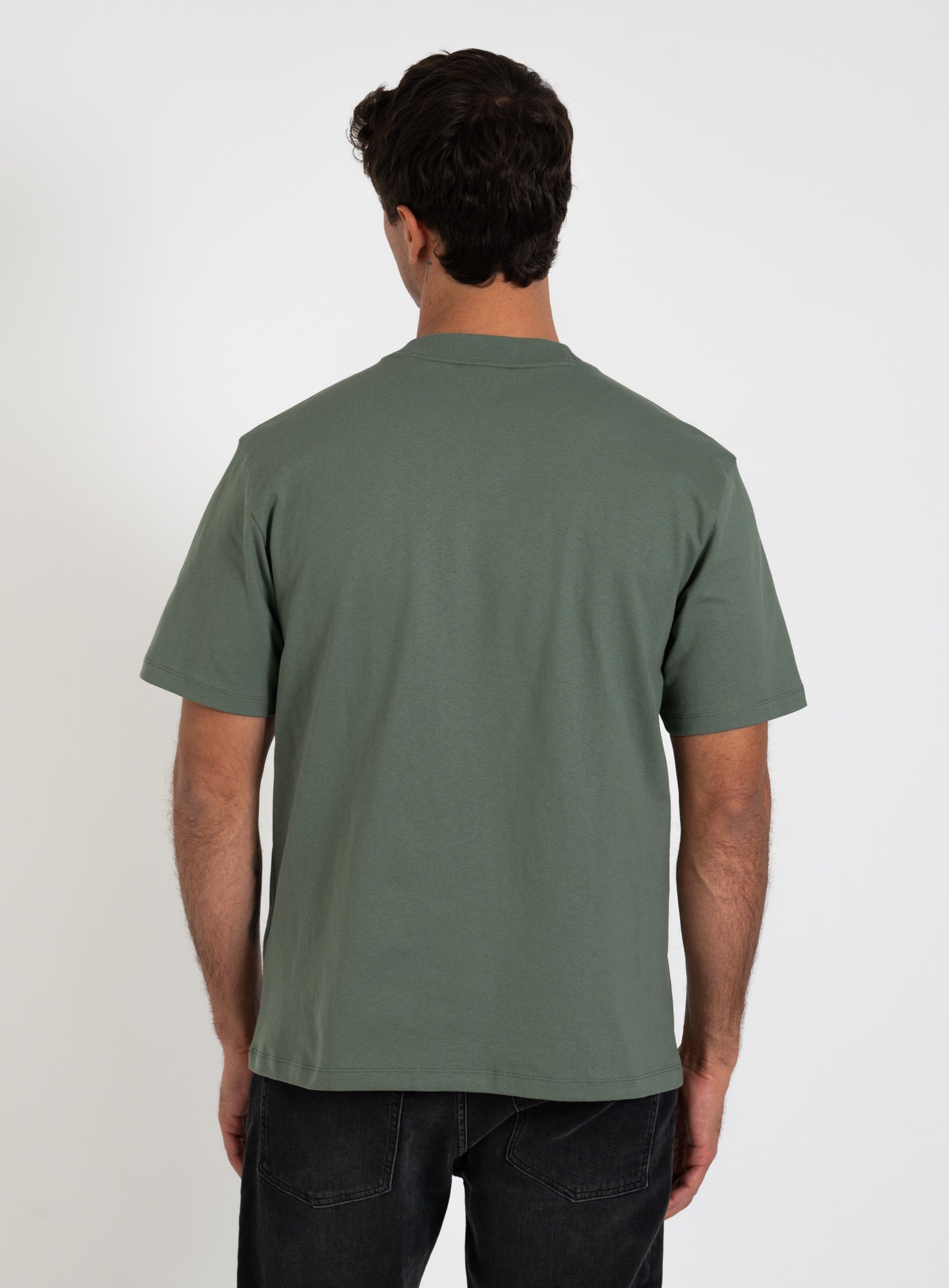 251-DAPOLINO 8330