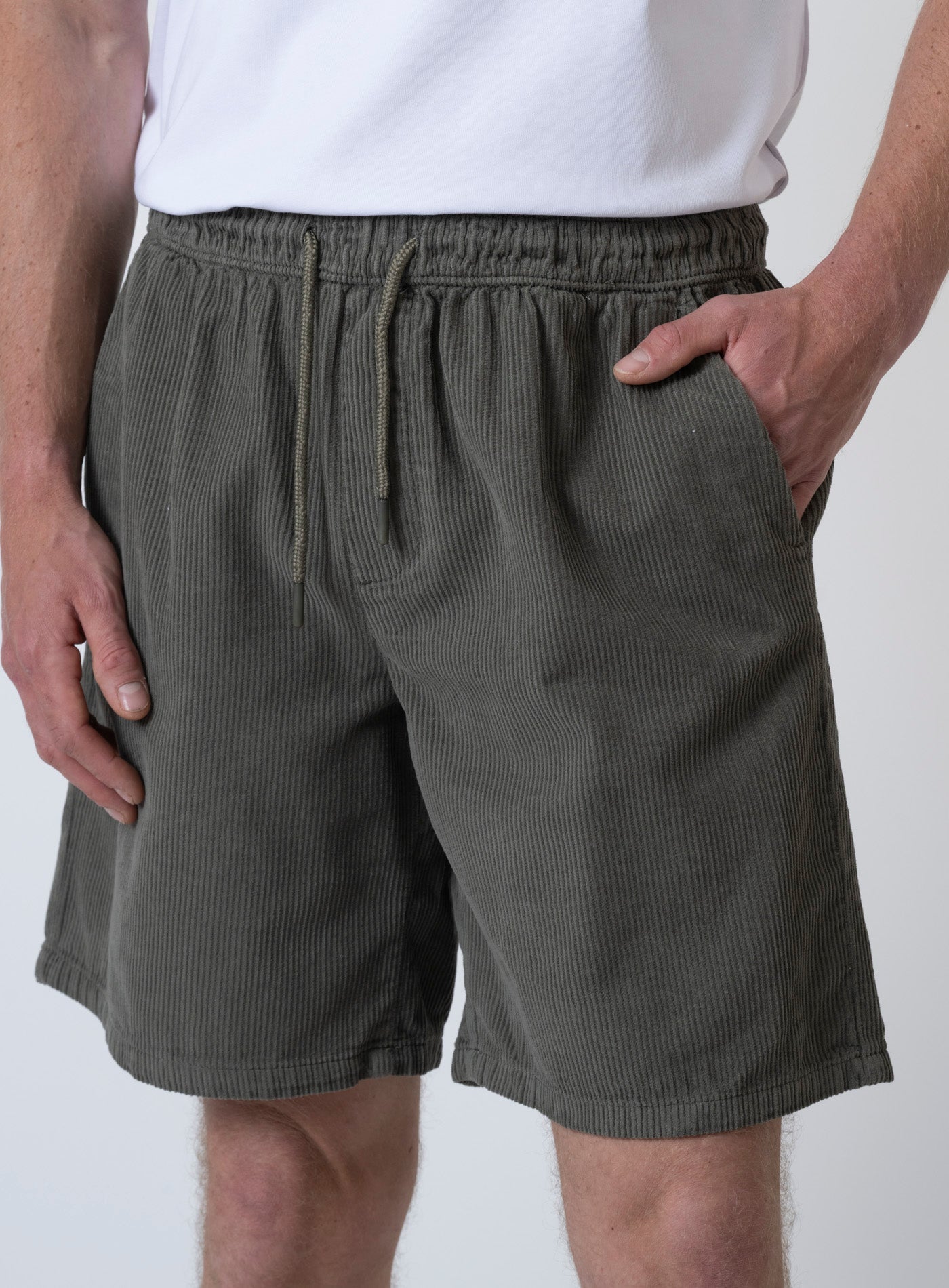 251-BILL CORDUROY 12273806