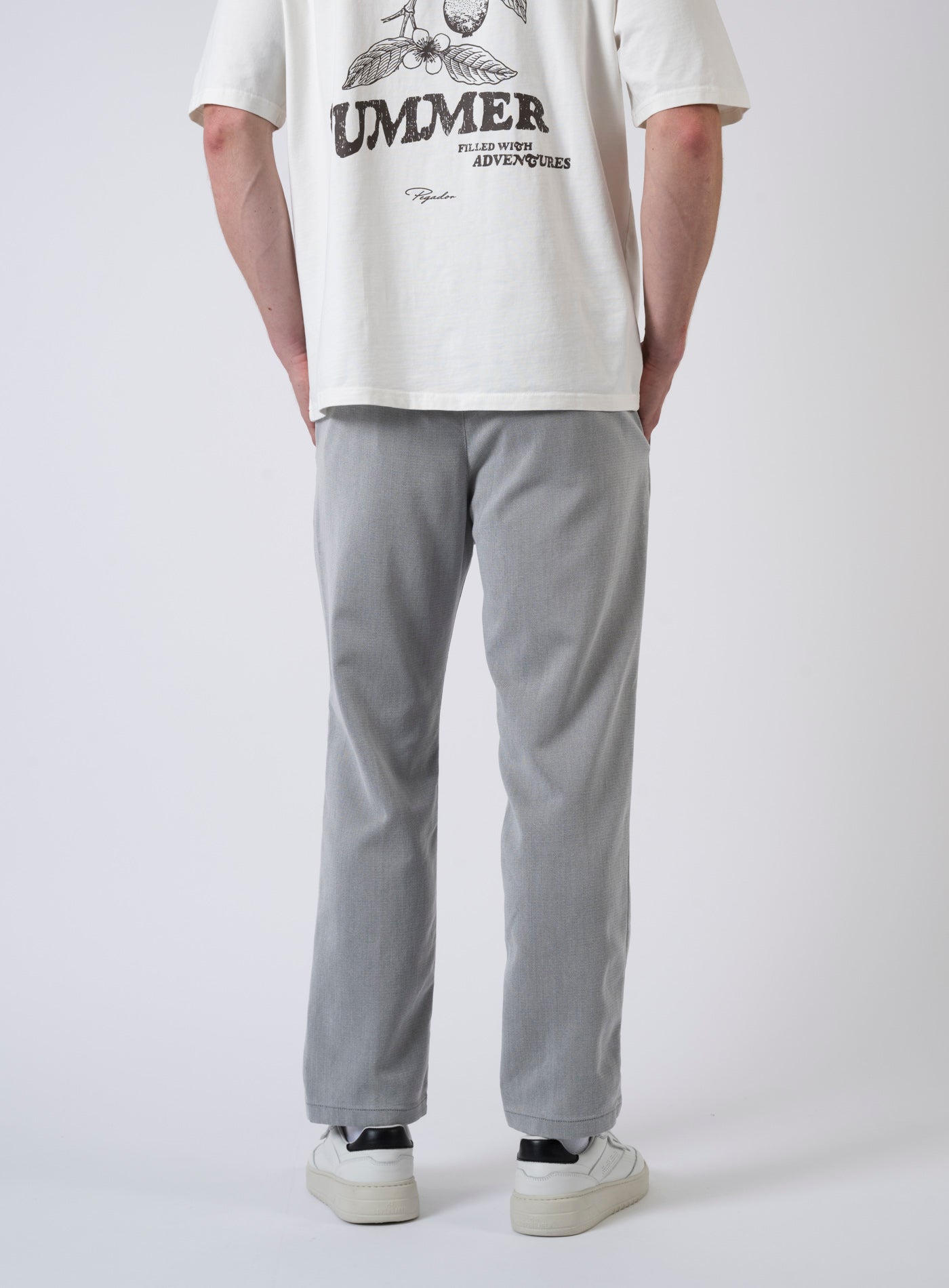 252-CHASY RGLR. 270098